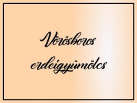 Vörösboros erdeigyümölcs 330 ml