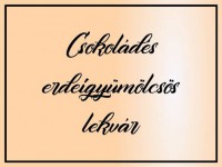 Csokoládés erdei gyümölcs lekvár 330 ml